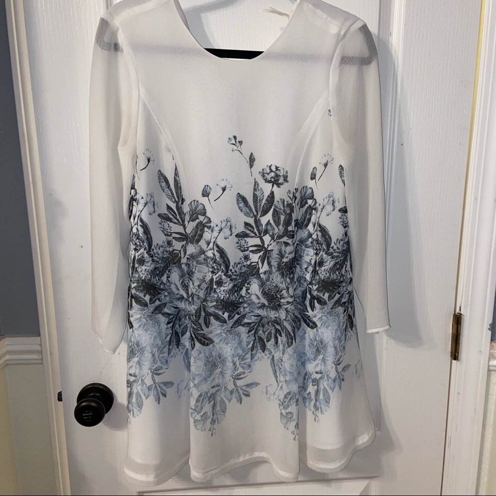 Urban Outfitters sheer shift dress midi sleeve